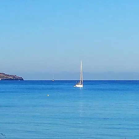 Hotel Myseahouse Flamingo - Adults Only 4* Sup Playa de Palma (Mallorca)