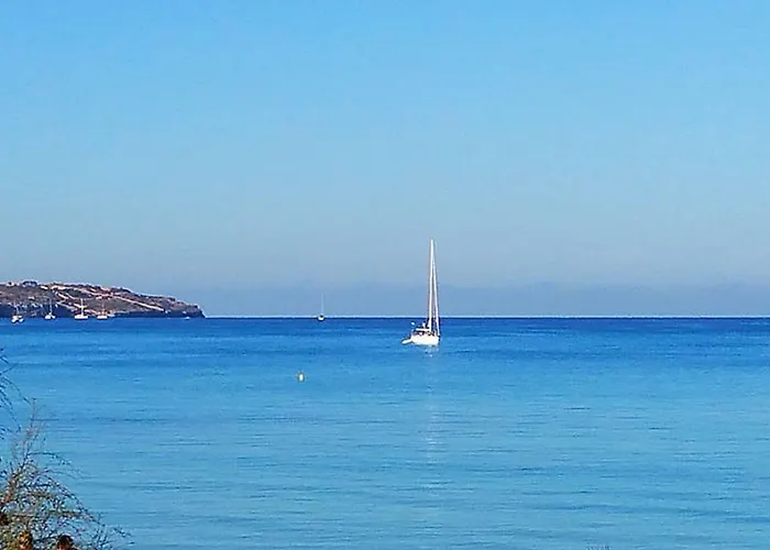 호텔 마이시하우스 플라밍고 - 성인 전용 4* 섭 플라야 데 팔마