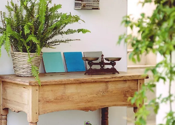 호텔 마이시하우스 플라밍고 - 성인 전용 4* 섭 플라야 데 팔마