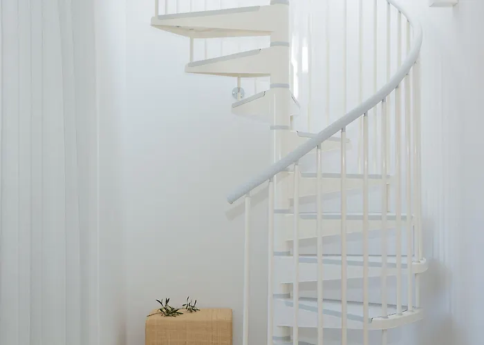 マイシーハウス フラミンゴ 大人専用 4* サプ 4*