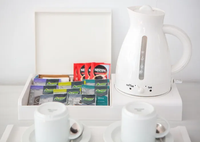 ホテル マイシーハウス フラミンゴ 大人専用 4* サプ