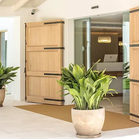 فندق Myseahouse Flamingo - Adults Only 4* Sup 4*