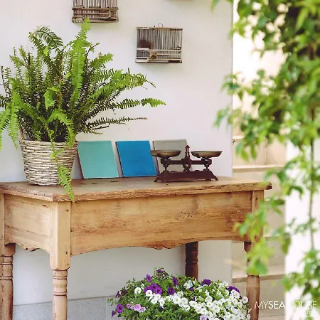 فندق Myseahouse Flamingo - Adults Only 4* Sup بلايا ذي بالما